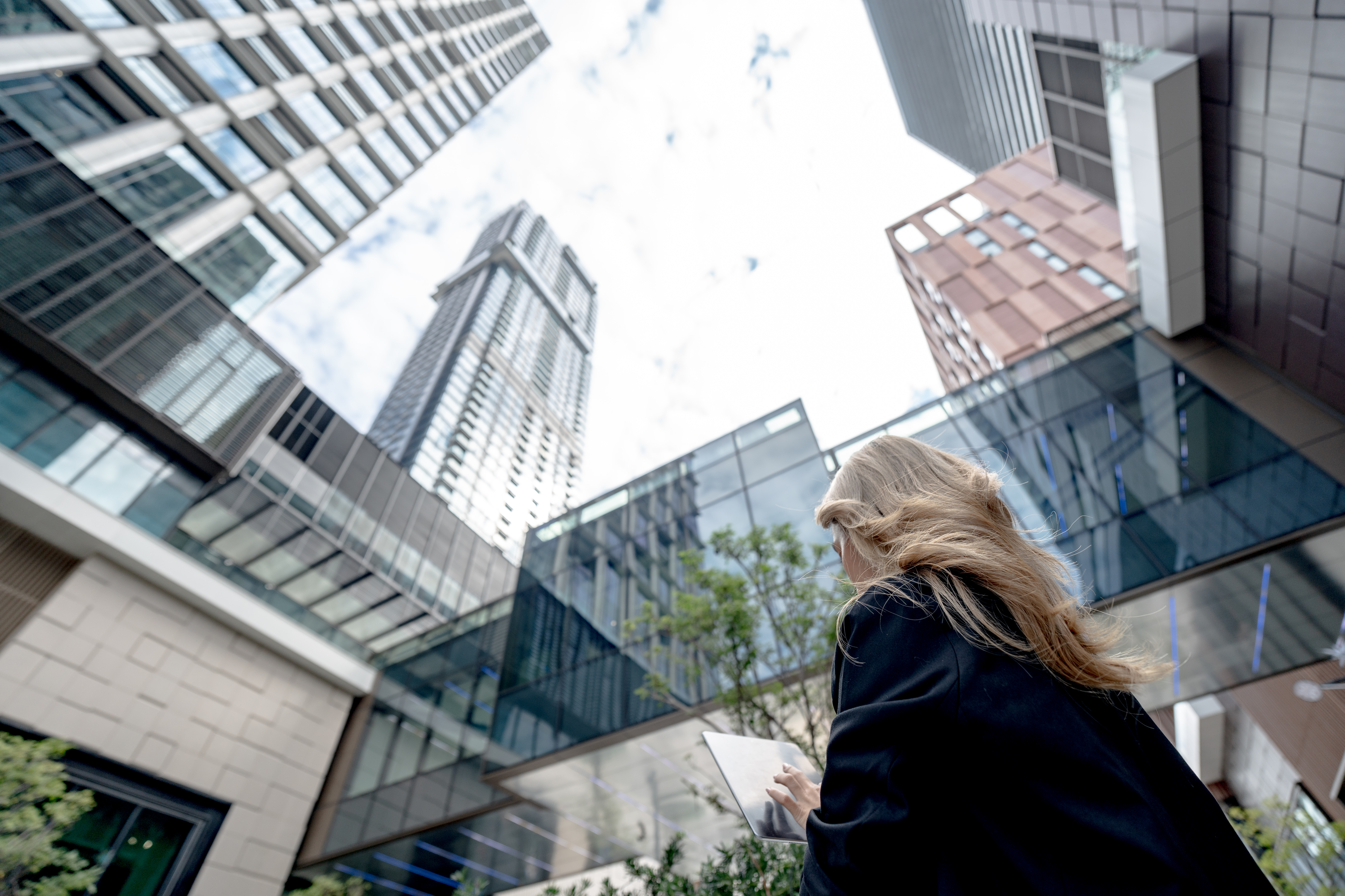 Professional working on laptop